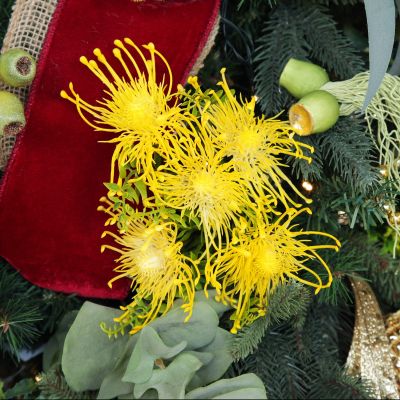 Native Yellow Pincushion Protea Flower Spray