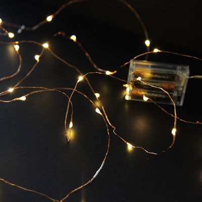 Copper String Seed Fairy Lights