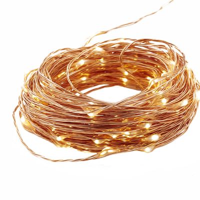 Copper String Seed Fairy Lights