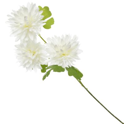 Cream Chrysanthemum Flower Spray