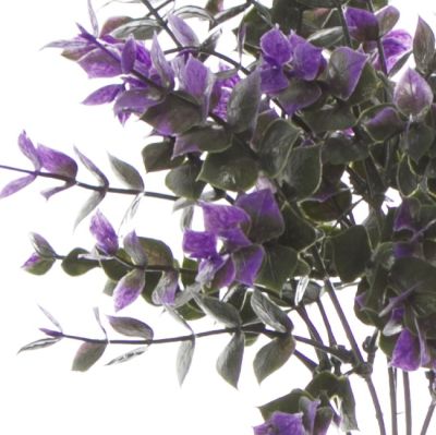 Purple Eucalyptus Bunch
