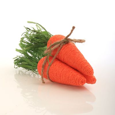 Orange Carrots Bunch - Set of 3