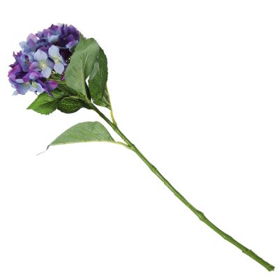 Purple Hydrangea Flower Stem