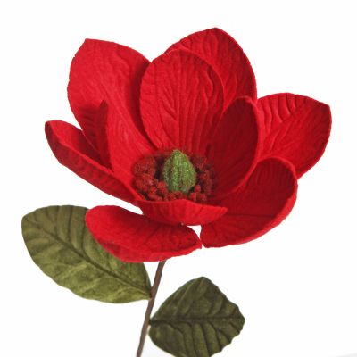 Red Magnolia Flower Stem