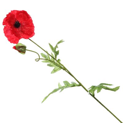 Remembrance Single Poppy Flower
